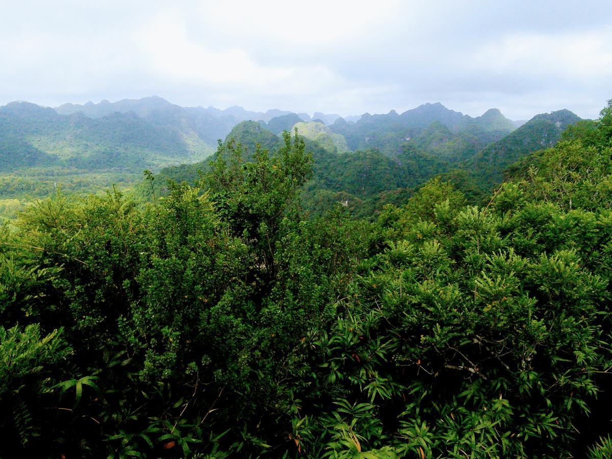 Nam Phuong Hotel Dong Khe Sau Eksteriør bilde